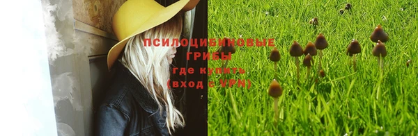 альфа пвп VHQ Инта